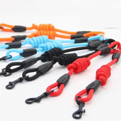Small Nylon Double lead leash